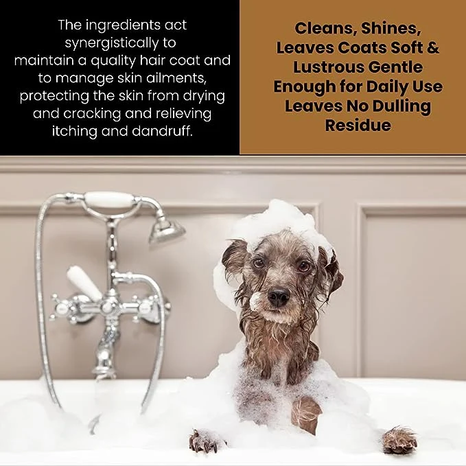 Corakko Equine & Canine Shampoo - Image 3