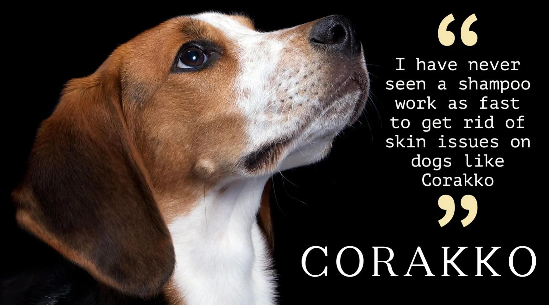 Corakko Equine & Canine Shampoo - Image 13