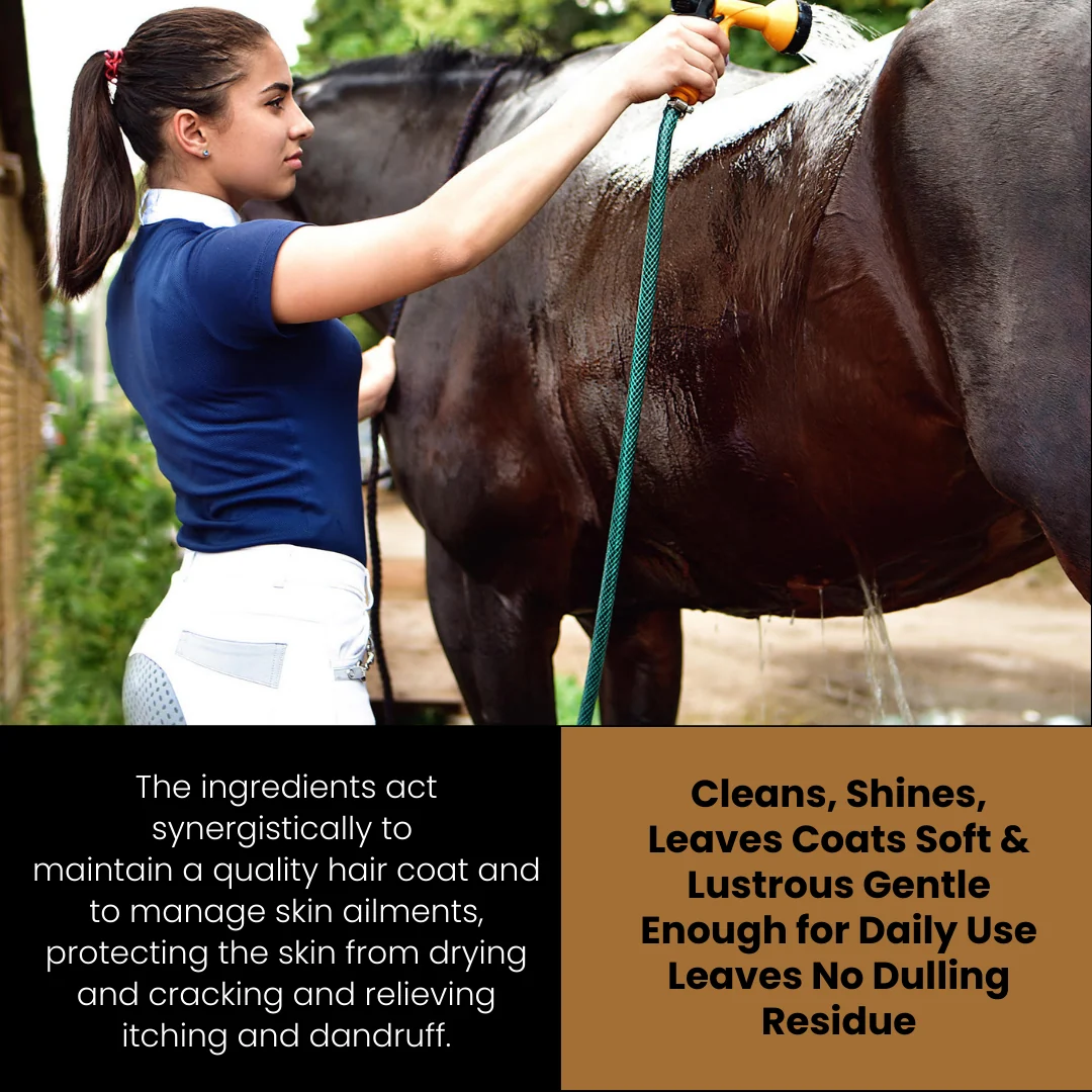 Corakko Equine & Canine Shampoo - Image 9